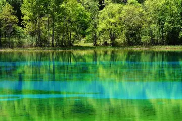 那些别样的风景作文（《生活的风景》）