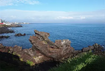 那些窗外的风景作文（《精彩的风景》）