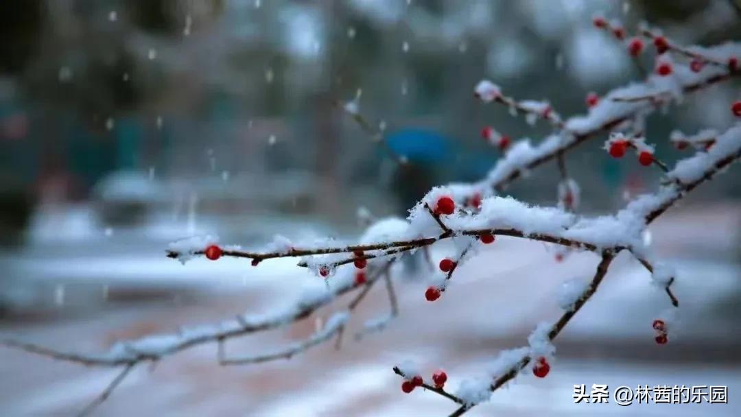 大雪赞美冬天的古诗词名句（16首最美的大雪诗词）