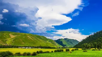 那些故乡的风景作文（《别样的风景》）