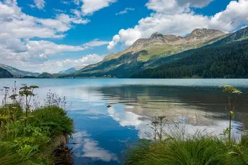 那些故乡的风景作文（《精彩的风景》）