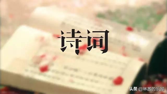 寂寞诗词鉴赏（寂寞到骨子里的7首诗词）