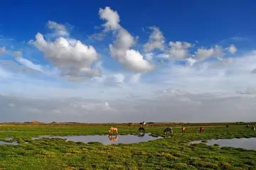 那些家乡的风景作文（《生活的风景》）