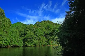 那些家乡的风景作文（《迷人的风景》）