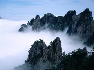 那些亮丽的风景作文（《别样的风景》）