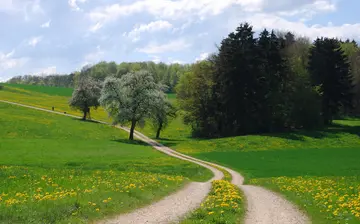 那些路上的风景作文（《故乡的风景》）