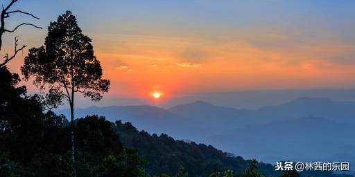 赞美黄昏夕阳的诗词（歌咏夕阳的10首诗词）