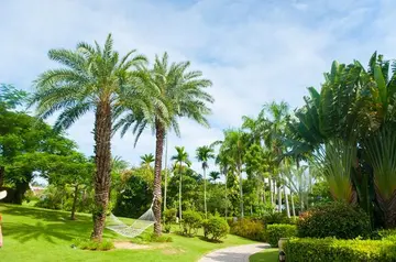 那些夏日的风景作文（《生活的风景》）