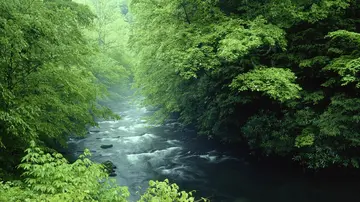 那些夏日的风景作文（《美好的风景》）