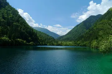 那些夏天的风景作文（《美好的风景》）