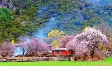 那些乡村的风景作文（《迷人的风景》）