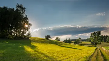 那些乡下的风景作文（《美好的风景》）