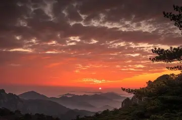 那些校园的风景作文（《精彩的风景》）