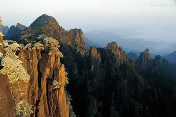 那些校园的风景作文（《别样的风景》）