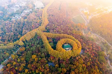 那些校园的风景作文（《美好的风景》）