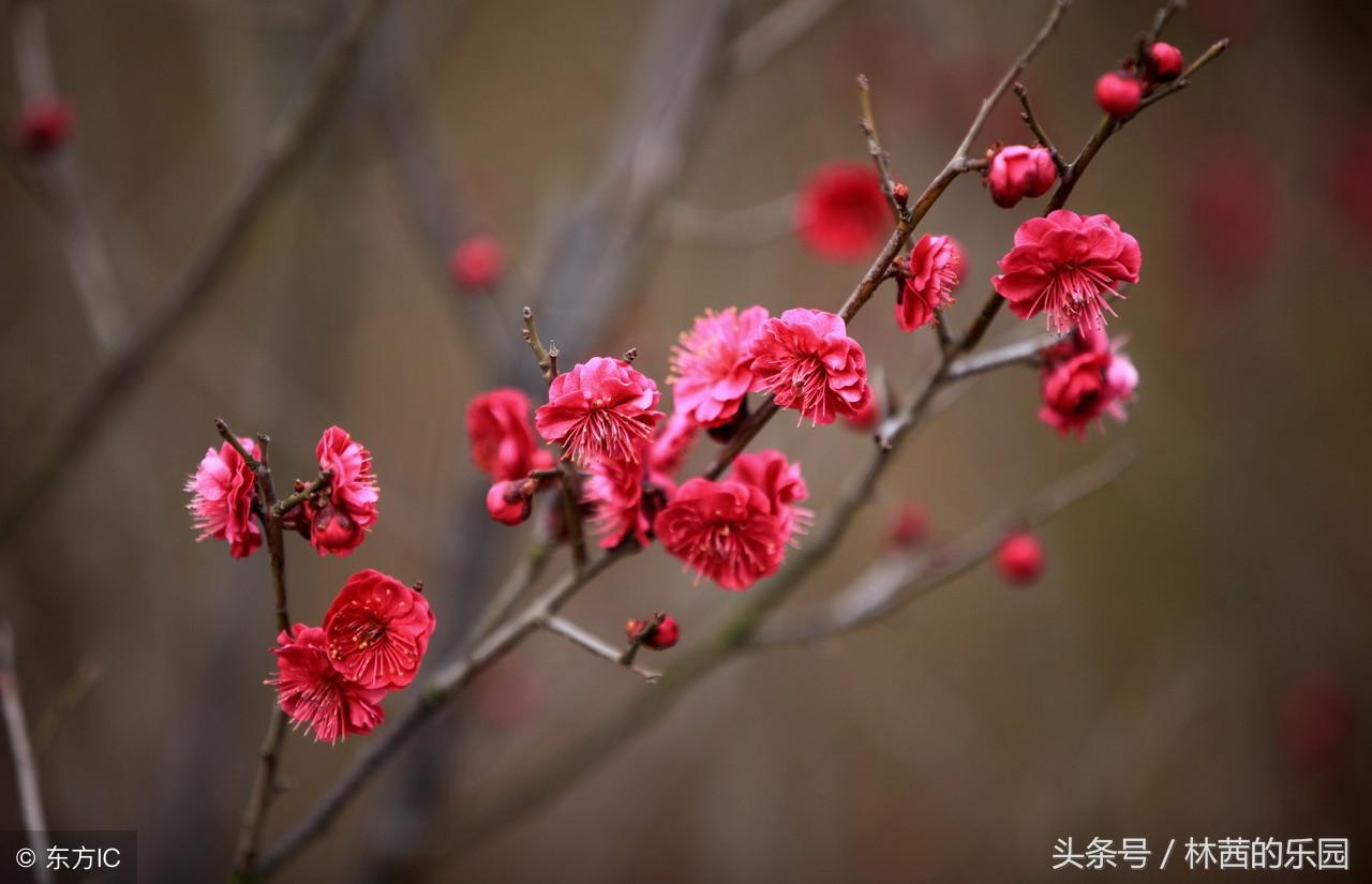 孤单意境诗词大全（冷门又惊艳的诗词）