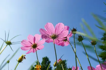 那些幸福的话题作文（《幸福的味道》）