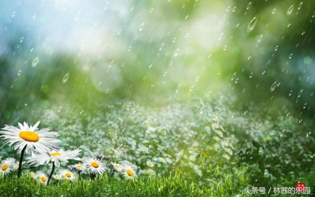 下雨天的心情经典古诗（形容雨天有诗意的诗句）