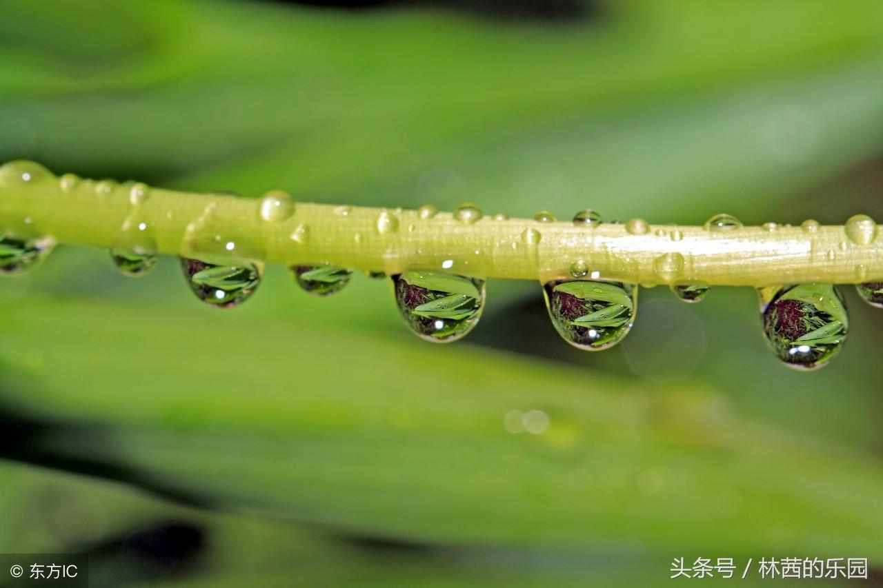 下雨天的心情经典古诗（形容雨天有诗意的诗句）