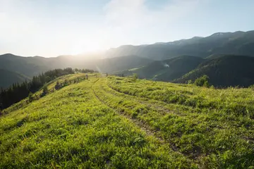 那些端午的趣事作文（《生活的趣事》）