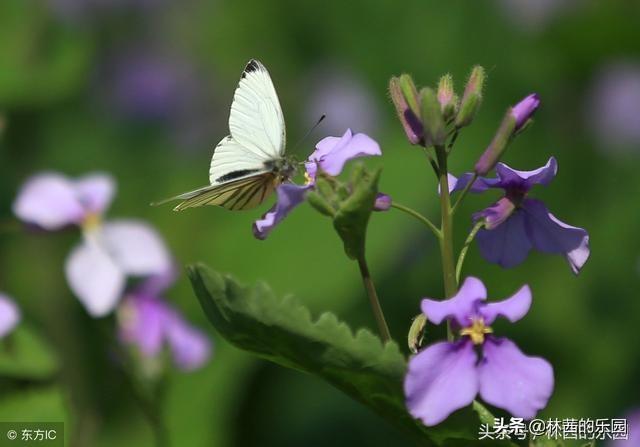 小众却很惊艳的宋词（18首婉约诗词）