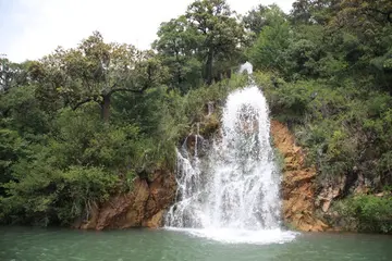 那些难忘的春节作文（《难忘的风景》）