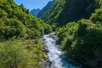 那些难忘的儿童节作文（《难忘的风景》）