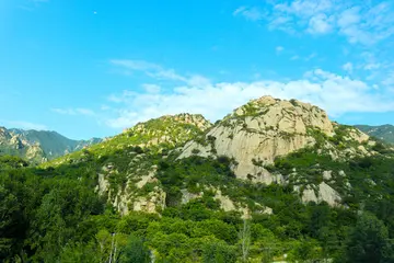 那些难忘的元宵节作文（《难忘的风景》）