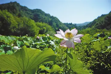 给爸爸过生日的作文（《愉快的生日》）