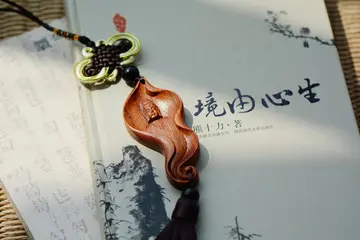 祝福的礼物作文650字（幸福快乐）