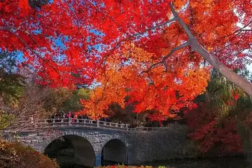 那些捡拾幸福的优秀作文（《幸福的时光》）