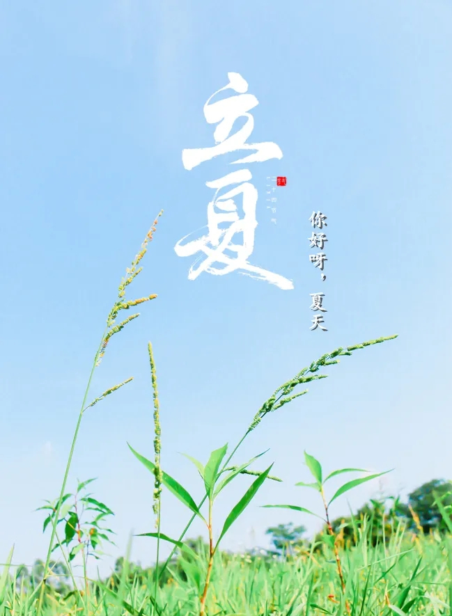 描写初夏的七言律诗（夏日的唯美诗句）