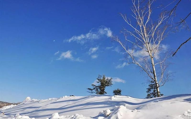 大雪纷飞的景象的作文（《大雪纷飞的那个冬天》）