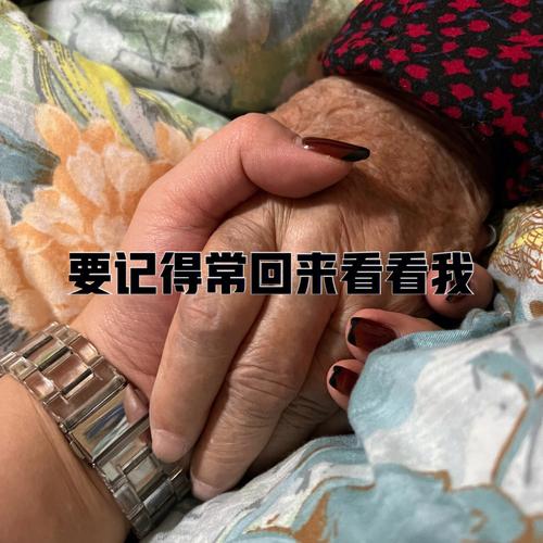 我和奶奶写一篇作文（《我和奶奶的日子——回忆往昔，细数岁月》）