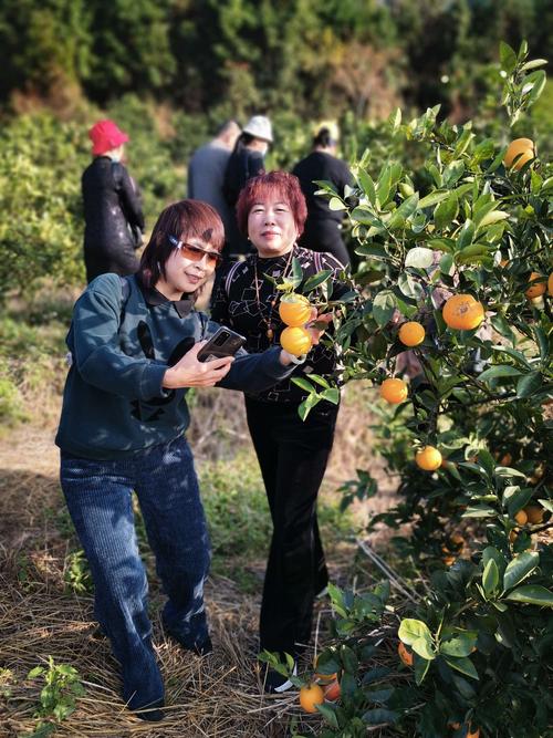 让我念念不忘作文半命题（《一个儿时梦想的实现》）