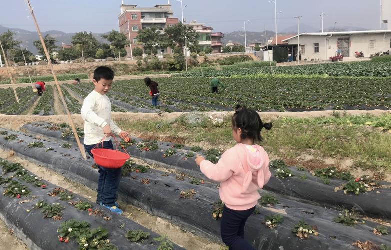 以令自己难忘的童年为话题的作文600字（《童年的足迹》）