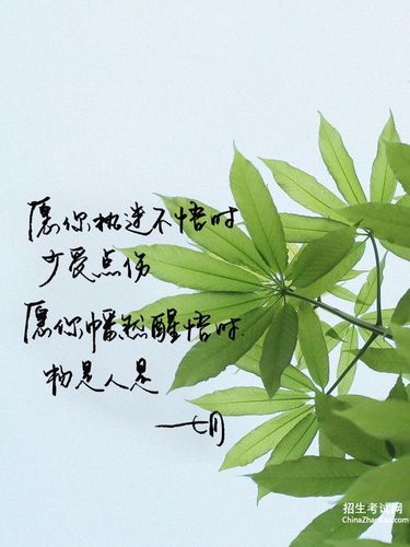 唯美好句简短（成年的微笑，18岁生日唯美短句）