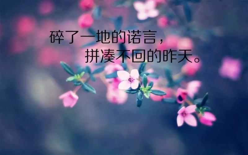 关于早安的唯美句子100句（清晨的美好，温暖心灵）