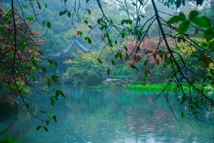 下雨的优雅句子（探寻雨水的无限魅力）