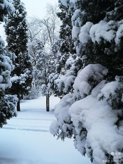 形容大雪纷飞的心情说说（美丽的雪景）