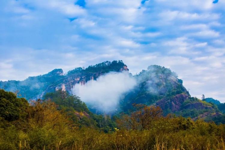 登到山顶的心情的诗句（登上山顶的人生感悟）