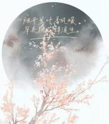 关于桃花的优美诗句（桃花之美——春日赏花）