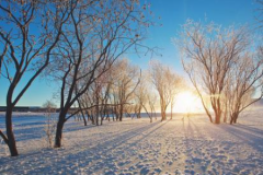 关于雪的朋友圈说说正能量（浪漫如诗——一场雪，仿佛是一首诗，情感绵长，浪漫至极。）