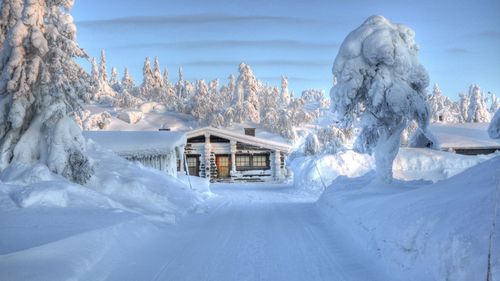 有关雪的唯美诗句唯美的句子大全（白雪皑皑，寒意温情）