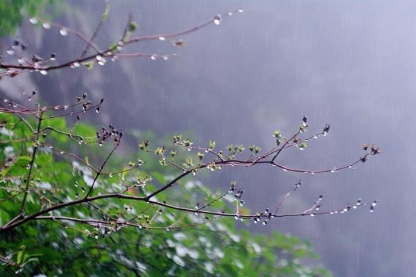 描写雨的优美古诗词（雨落青山，唯美短句古诗欣赏）