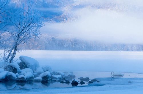 关于写大雪的诗句（白茫茫的雪原）