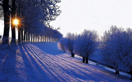 形容雪大的语句（大雪的唯美）