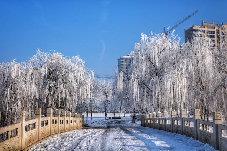 以白雪皑皑的家乡为话题的作文题目（《“冬日里的白雪皑皑”——一场寻找雪人的冒险》）