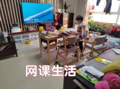 疫情期间网课的好处和坏处作文800（《一位小学生的网课之旅》）