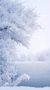 有关冬天的优美句子诗句（一：冬日的天空像是一块无瑕的宝石，清澈而明亮，让人心旷神怡。）